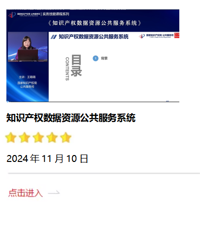知识产权数据资源公共服务系统.png