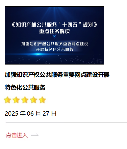 加强知识产权公共服务重要网点建设开展特色化公共服务2025.06.27.png